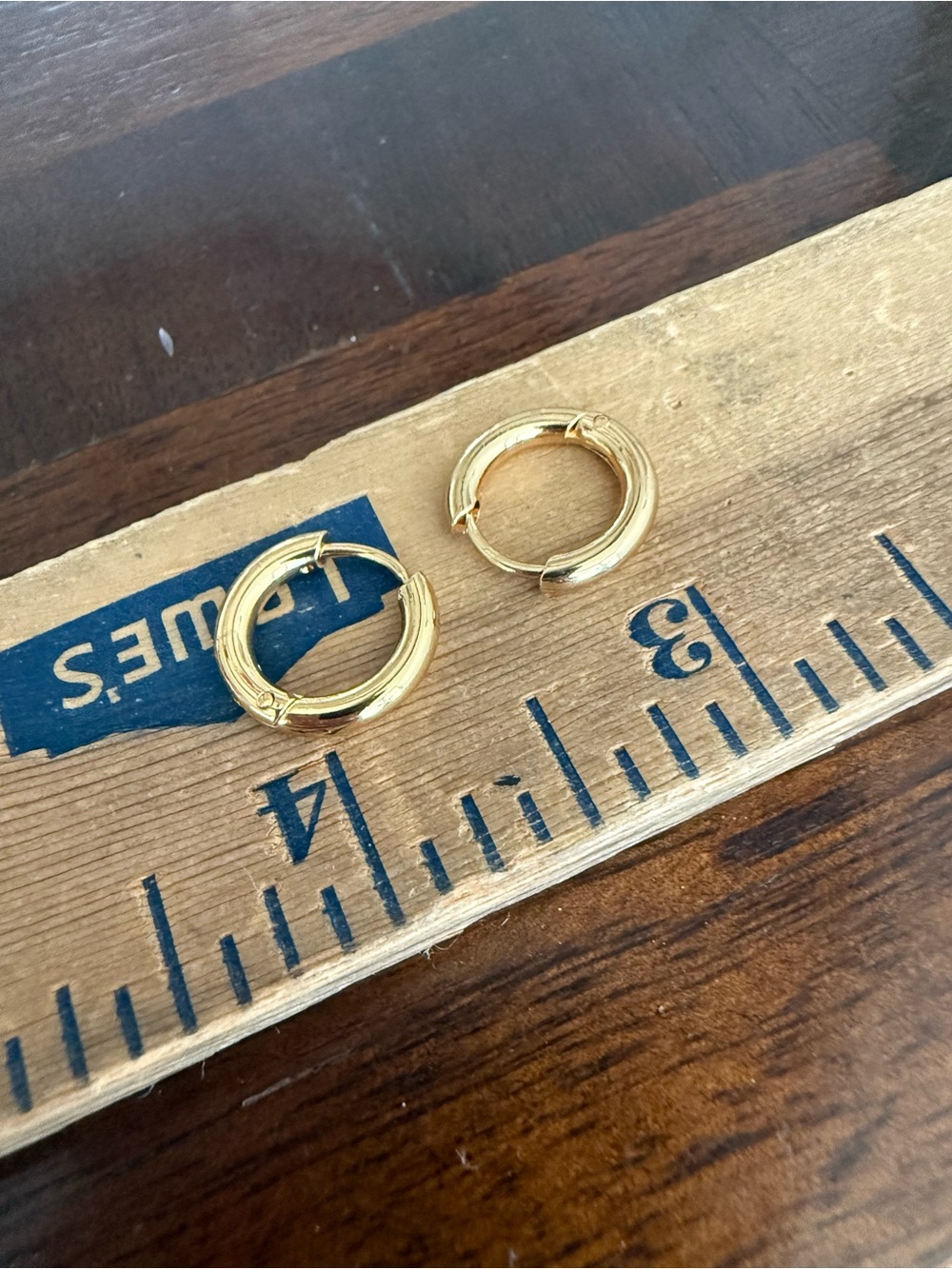 NWOT Stainless Steel Earrings
